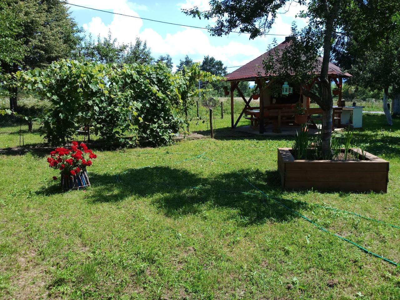 Apartments Eco Forest Resort Rakovica Exterior foto